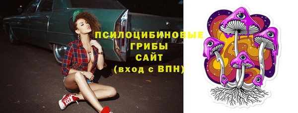 ПСИЛОЦИБИНОВЫЕ ГРИБЫ Остров