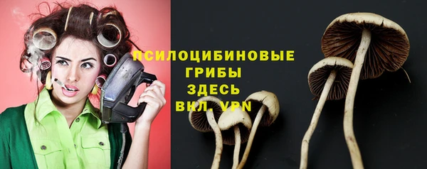 ПСИЛОЦИБИНОВЫЕ ГРИБЫ Остров