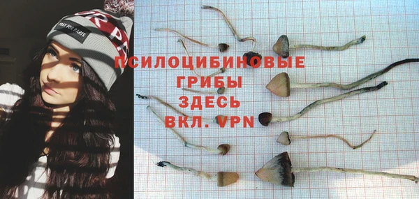 эйфоретик Осташков