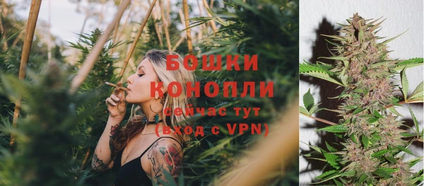 эйфоретик Осташков