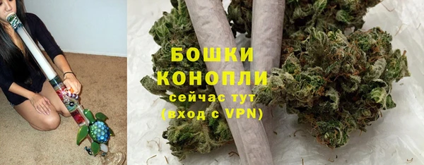 ПСИЛОЦИБИНОВЫЕ ГРИБЫ Остров