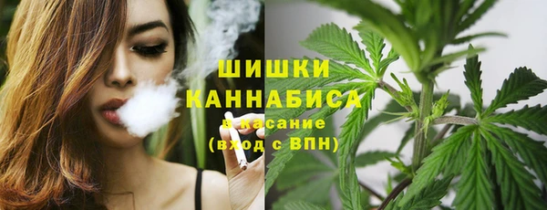spice Осинники