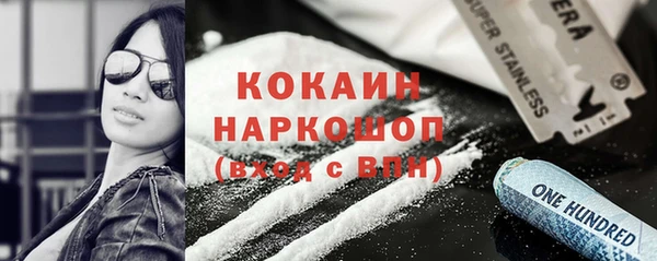 винт Няндома