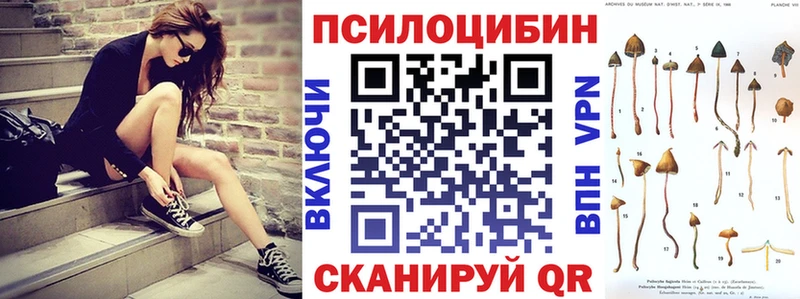 Псилоцибиновые грибы мицелий Правдинск