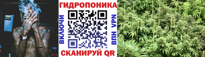 Канабис Bruce Banner  blacksprut ссылки  Правдинск  купить наркотик 